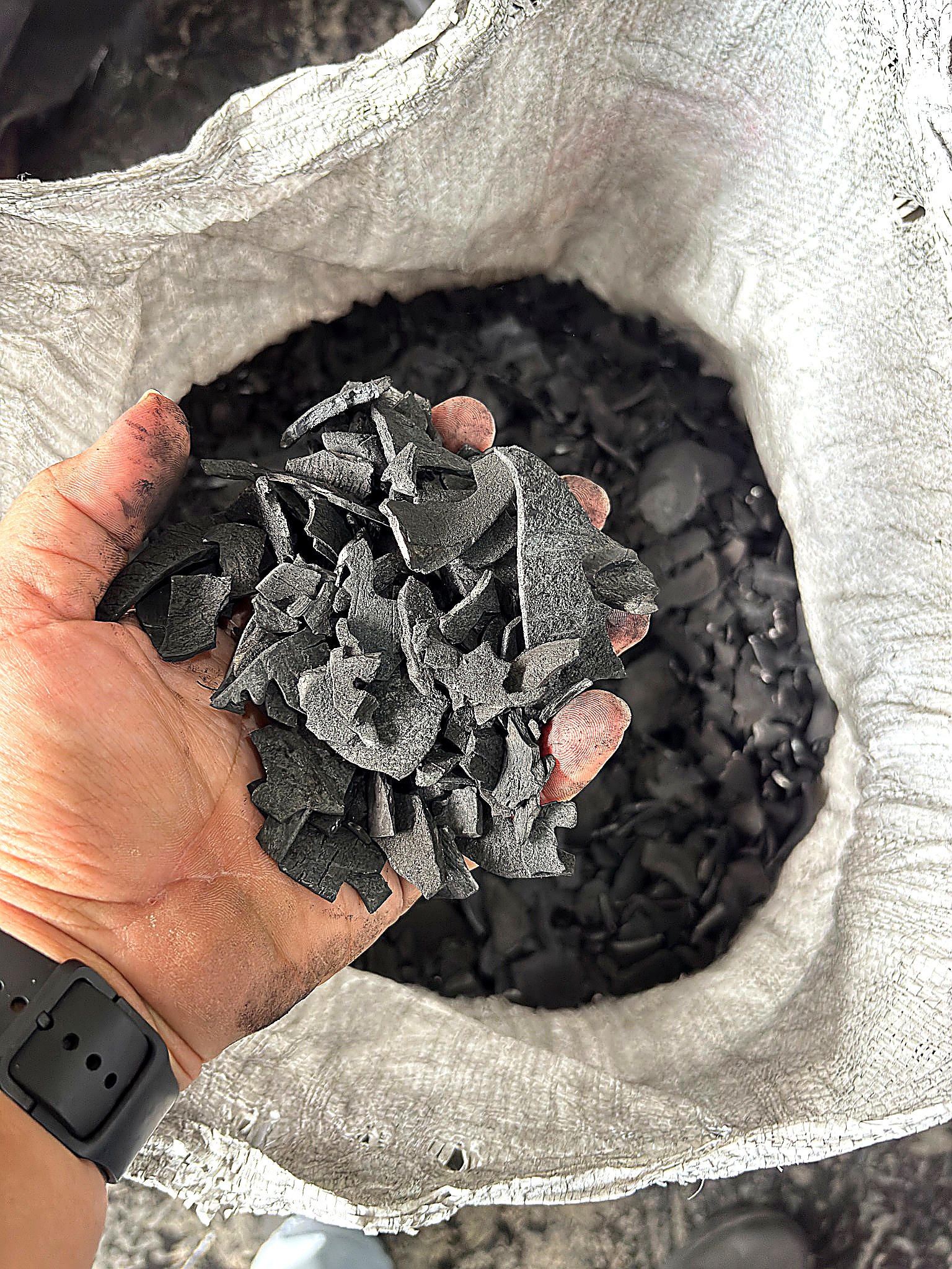 coconut shell raw material of briquette